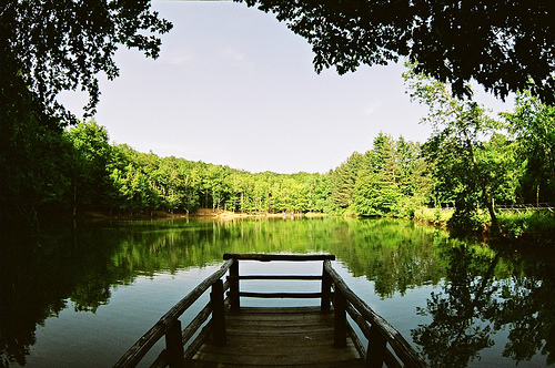 laghetto foresta umbra