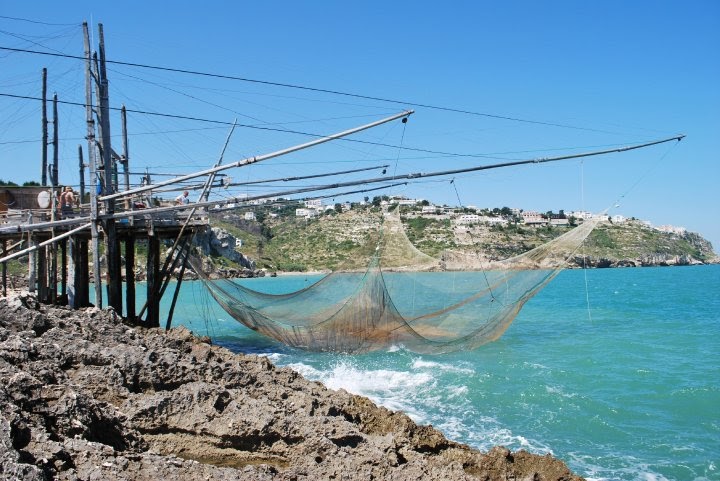 Gargano Coast