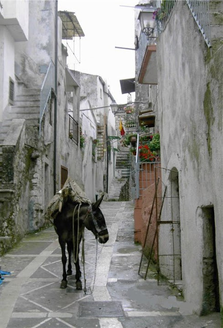 Vacanze sul Gargano: consigli e luoghi da visitare