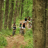 Cicloturismo Sul Gargano