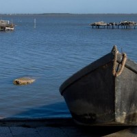 Barche Lago di Lesina