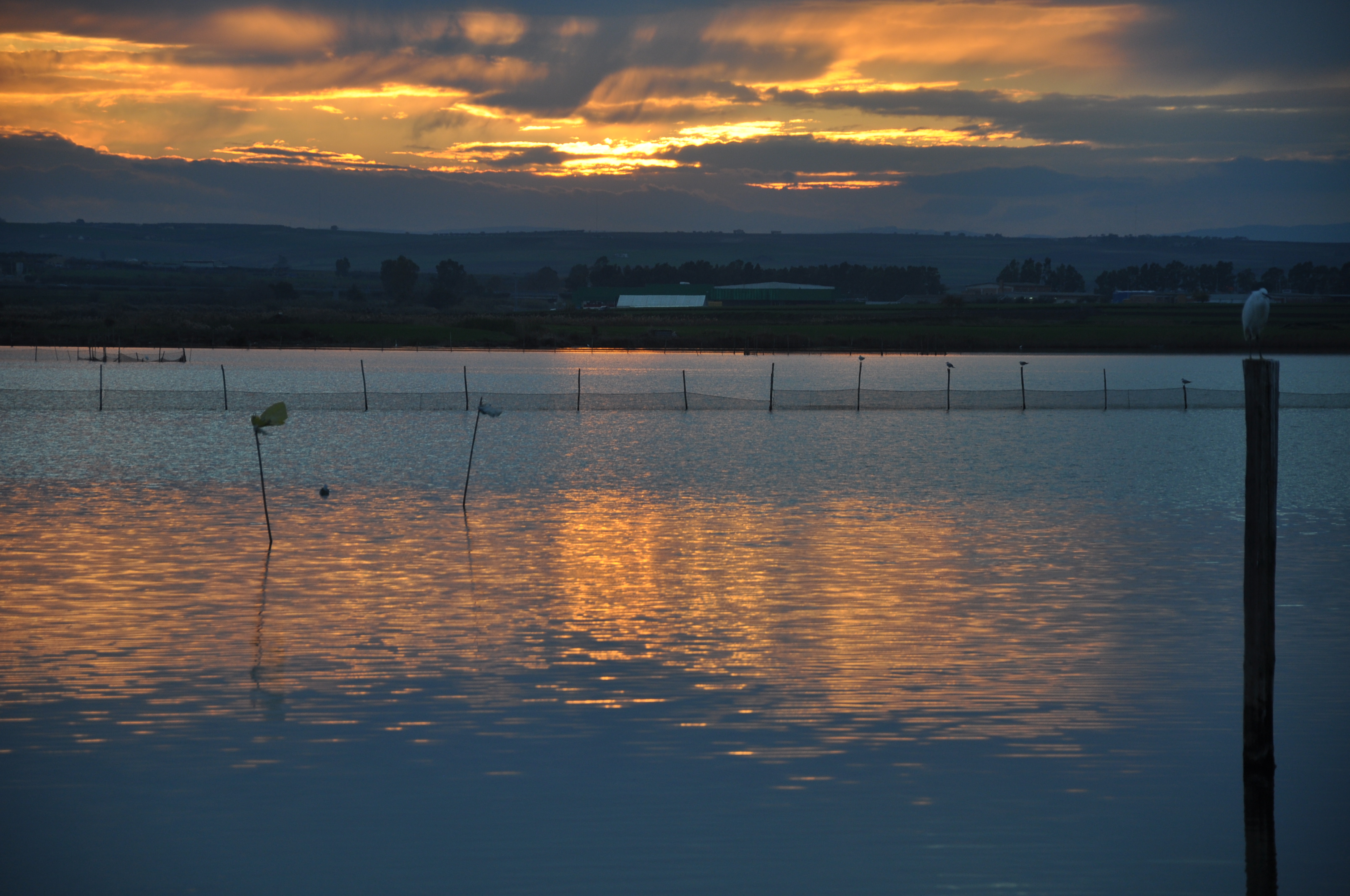 lago di lesina