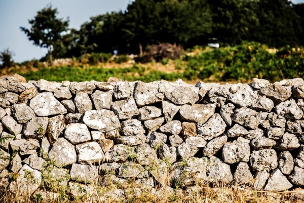 escursioni sul gargano