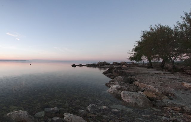 Birdwatching Gargano: Lago di Varano